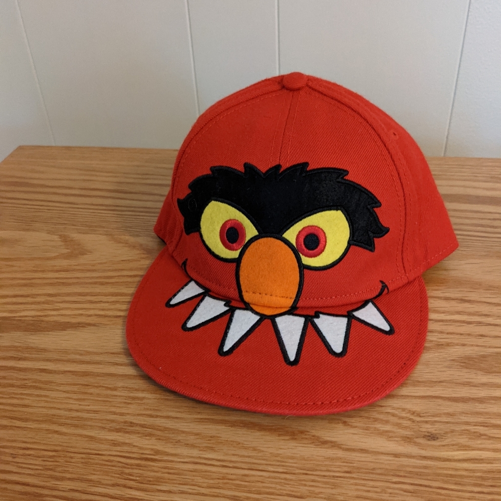Sesame Street Hat